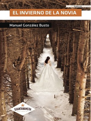 cover image of El invierno de la novia